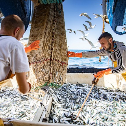 Soutenir la vie du territoire