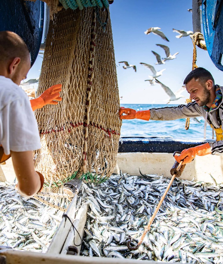 La Perle des Dieux s’engage
