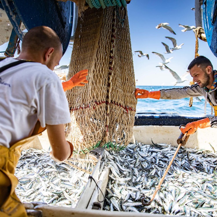 Notre poisson, une matière d’exception