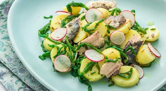 Salade fraîcheur pommes de terre, sardine et salicorne